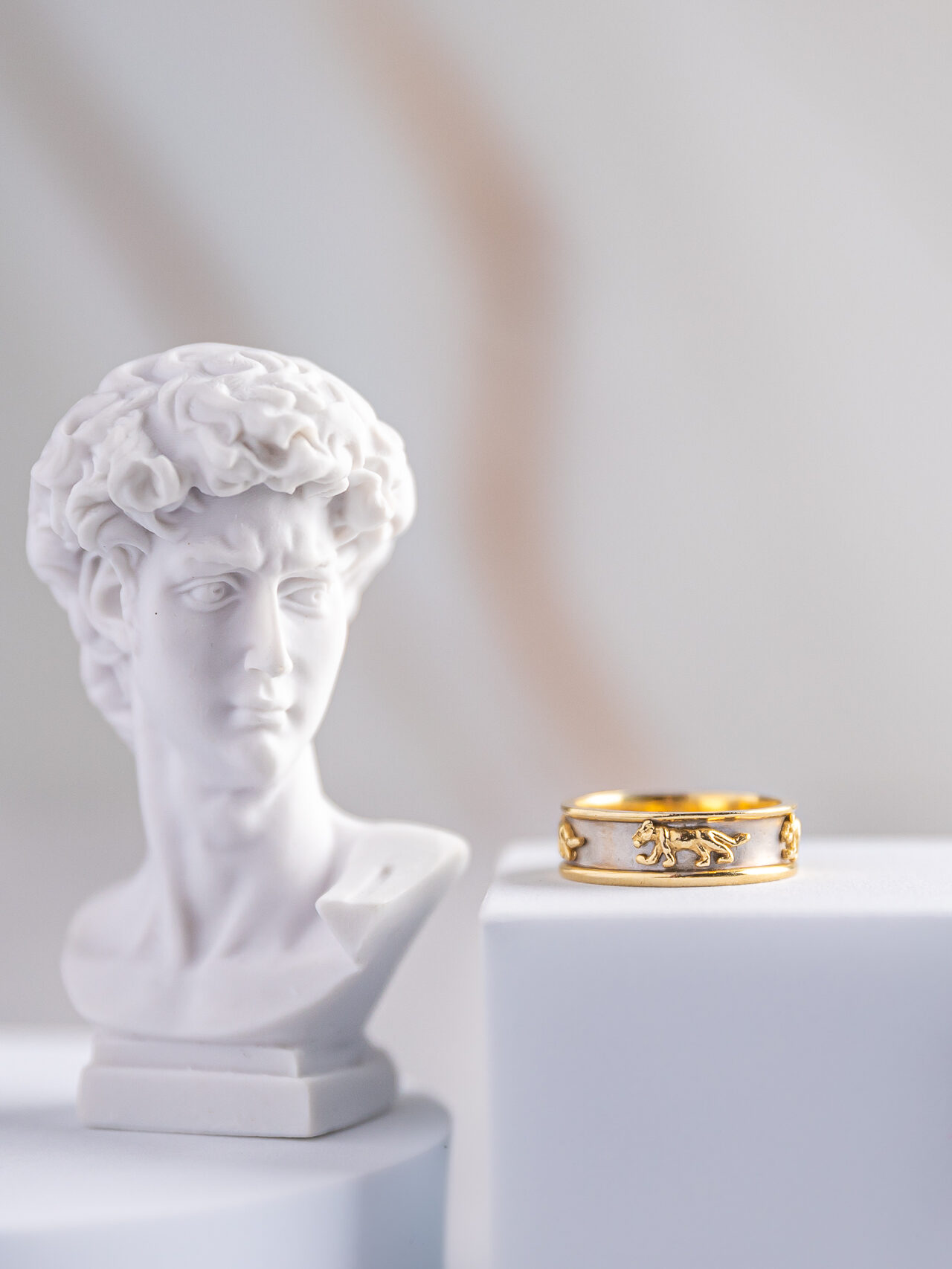 anillo oro joyeria fotografia creativa de producto diana lissett