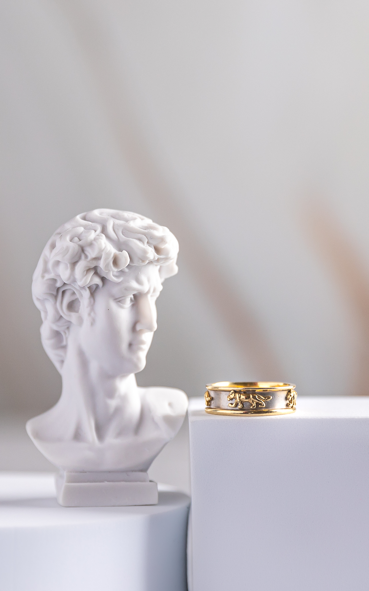 anillo oro joyeria fotografia creativa de producto diana lissett