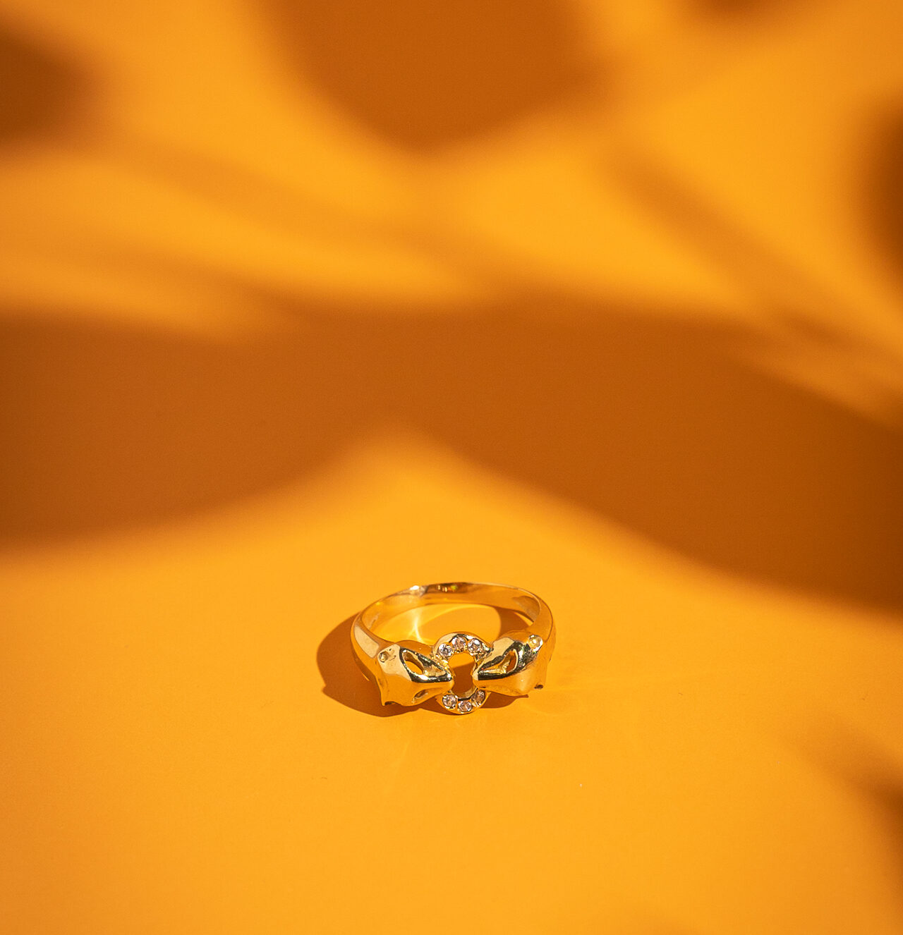 anillos oro joyeria fotografia creativa de producto diana lissett